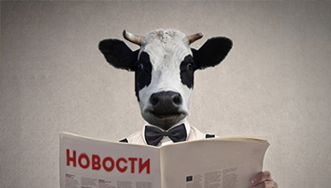 Grand Prix of the international competition "Milk success-2022" in Sochi